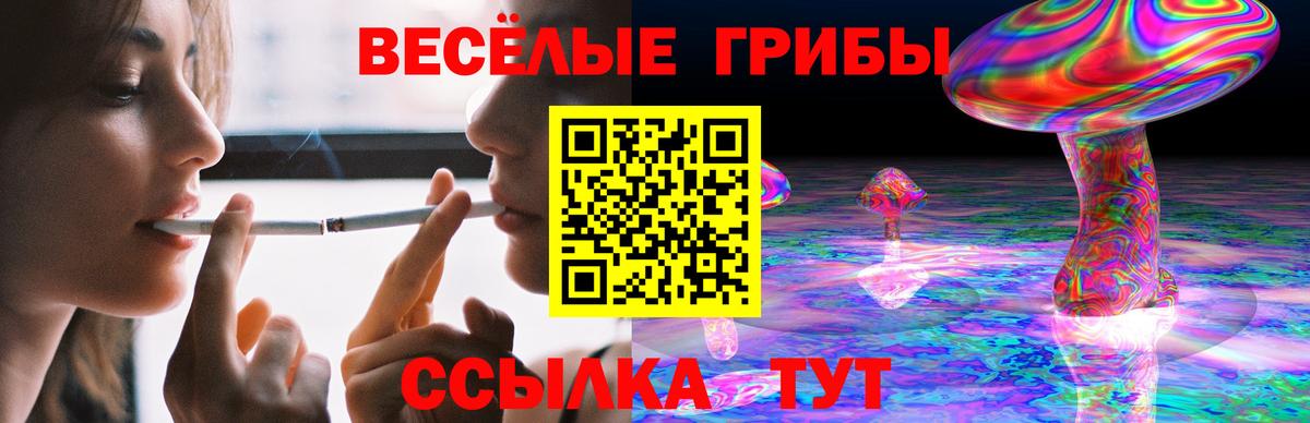 Галлюциногенные грибы мицелий  купить   Галлюциногенные грибы MAGIC MUSHROOMS  Трёхгорный  Вход с VPN 